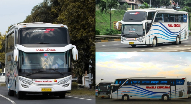 Travel Jogja Jakarta Travel Jogja Jakarta