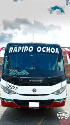 Rápido Ochoa Bus-Front Image