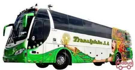 Pasajes A Tumaco En Bus Al Mejor Precio | RedBus Colombia