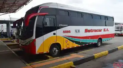 Sotracor Bus-Side Image