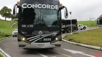 Concorde Bus-Front Image