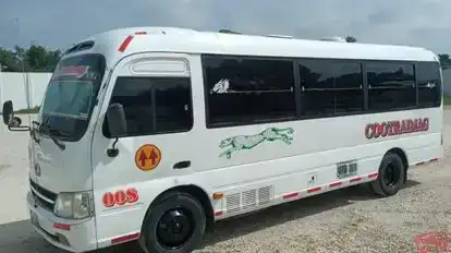 Cootraimag Bus-Side Image