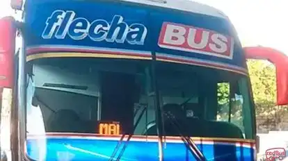 Torcoroma Bus-Front Image