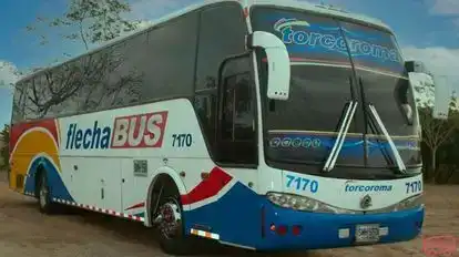 Torcoroma Bus-Side Image