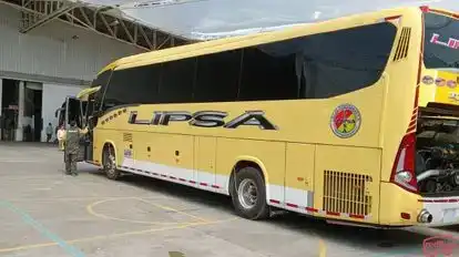 Lineas Pereiranas Bus-Side Image