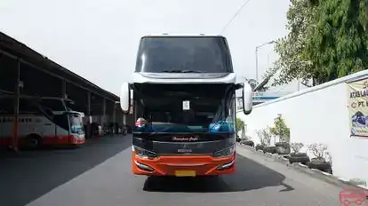 Harapan Jaya Bus-Front Image