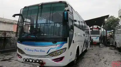 Batang pane baru Bus-Front Image