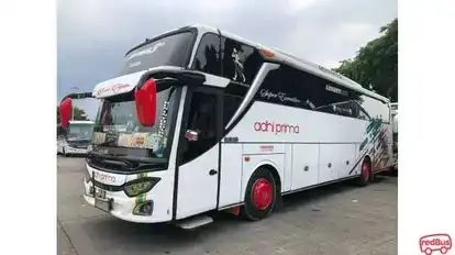 Adhi Prima Bus-Side Image