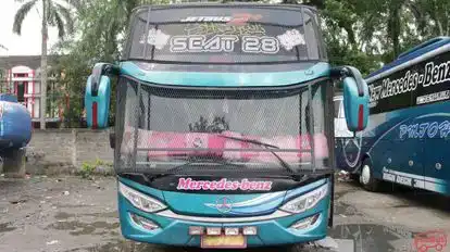 PMTOH Bus-Front Image