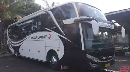 Muji Jaya Bus-Front Image