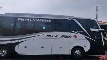 Muji Jaya Bus-Side Image