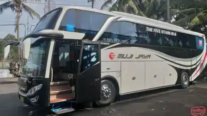Muji Jaya Bus-Side Image