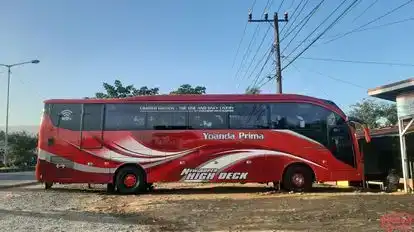 Yoanda Prima Bus-Side Image