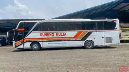 Harga Sewa Bus Pariwisata Gunung Mulia 40 Seat: Panduan Lengkap dan Faktor-Faktor yang Mempengaruhinya