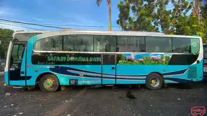 Safari Dharma Raya Bus-Side Image