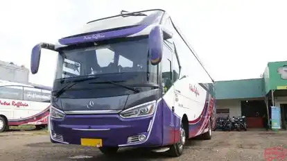 Putra Rafflesia Bus-Front Image