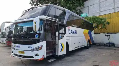 DAMRI Bus-Front Image