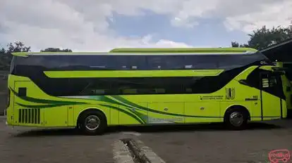 Tami Jaya Bus-Side Image