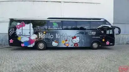 KYM Trans Bus-Side Image