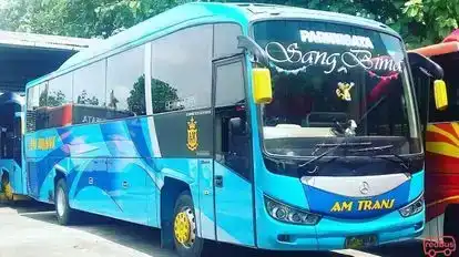 AM Trans Bus-Front Image