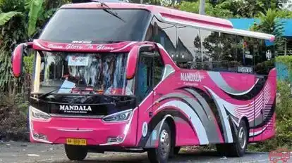 Mandala Bus-Front Image