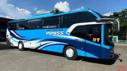 Neo Trans Bus-Front Image