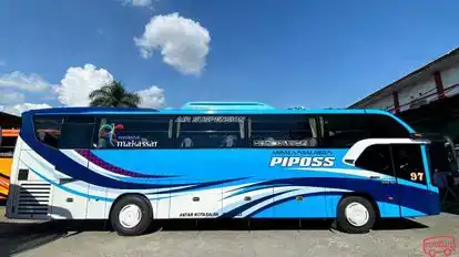Neo Trans Bus-Side Image