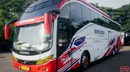Borlindo Bus-Front Image