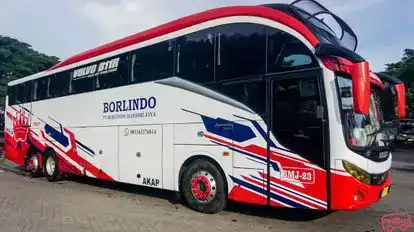 Borlindo Bus-Side Image
