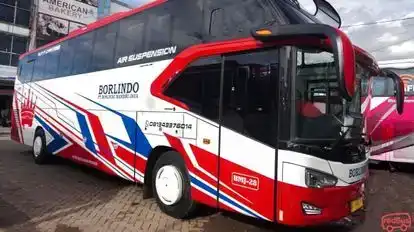 Borlindo Bus-Front Image