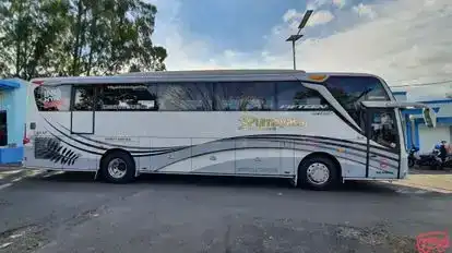 Purnayasa Bus-Side Image