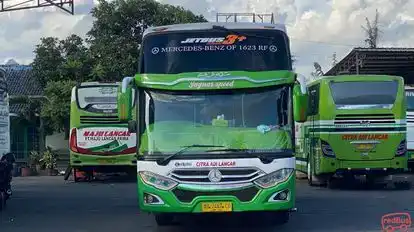 Citra Adi Lancar Bus-Front Image
