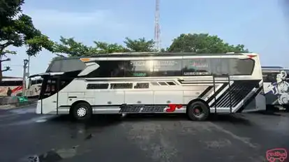 Sudiro Tungga Jaya Bus-Side Image