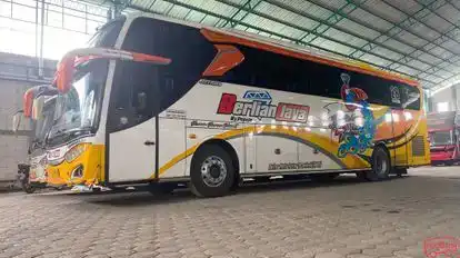 Berlian Jaya Bus-Side Image