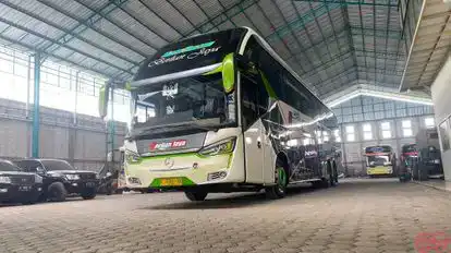 Berlian Jaya Bus-Side Image