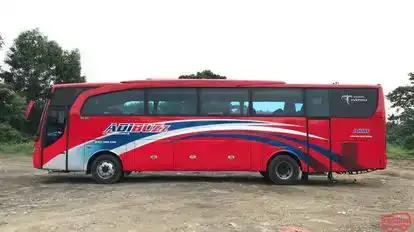 Adibuzz Bus-Side Image