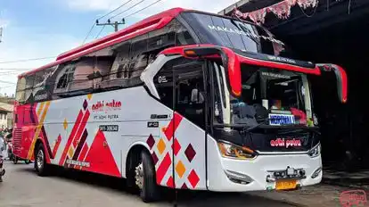 Adhi Putra Bus-Side Image