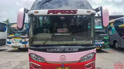 Piposs Bus-Front Image