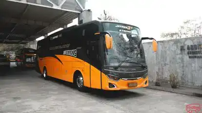 27 Trans Bus-Front Image