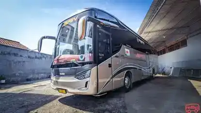 SAN Bus-Front Image