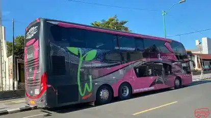 Kencana  Bus-Side Image