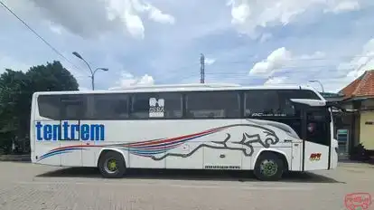 Tentrem Bus-Side Image