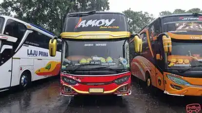 KG Trans Bus-Front Image