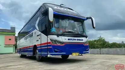 Mulyo Indah Bus-Front Image