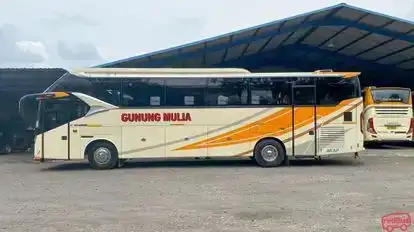 Gunung Mulia Bogor Bus-Side Image