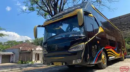 Agung Sejati Bus-Front Image