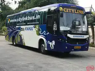Citylink   Travels Bus-Side Image