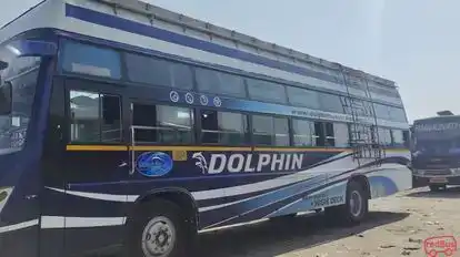 Dolphin tours and travels Bus-Side Image