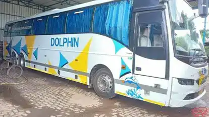Dolphin tours and travels Bus-Side Image