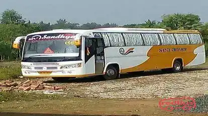 Sandhya Travels Bus-Side Image